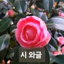 그대 가을속의 바람 / 이진섭 이미지