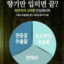 폭스당구장 | 여자들이 좋아하는 섬유향수 - 폭스데이