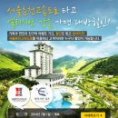 엘리시안강촌주유소 이미지