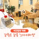 그다이마잇 | <강원도 강릉> 실내 애견동반 분좋카 '그다이마잇' 디저트 카페