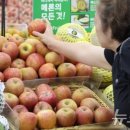 과일의세계