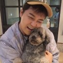전현무 카카오 검색결과