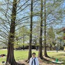 봄부동산공인중개사사무소 이미지