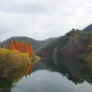 장태산자연휴양림 이미지