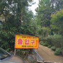 숲속애견랜드 | 서울신촌 찜질방 추천 , 서대문구 찜질방 추천 , 숲속한방랜드 방문 후기 고구마가래떡구워먹기