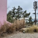 비고리조트 19 네이버블로그