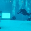 영월소방서 이미지