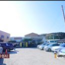 코리안손짜장 이미지