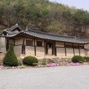 예산꽃 이미지