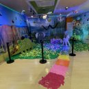 에듀피아유치원 이미지