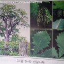 부덕농장 이미지