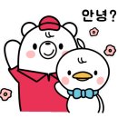 티앤티태권도장 이미지