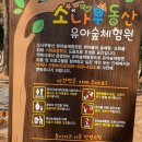 쌈지거제 이미지