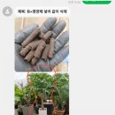 백두산유통 이미지