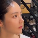 미인사진관 이미지