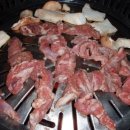 유명갈매기 이미지