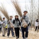 Tree of im 이미지