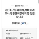 대한축구협회 해체,적폐 비리조사,정몽규회장사퇴 등 청원합니다 이미지