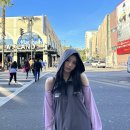 노제
