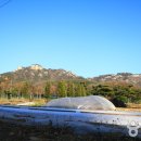 수색대골 이미지