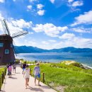 바람의언덕 이미지