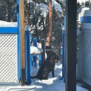 양양 로데스 풀빌라 이미지