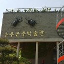 무주곤충박물관 네이버블로그