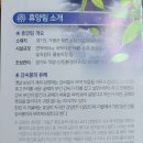 강씨봉자연휴양림 이미지