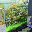 세븐일레븐 원주개운상지점 | 원주 개운동 수족관카페 아쿠아237 내돈내산 후기 🐠🐟
