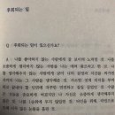 와이커피 로스터스(Y Coffee Roasters) 더(the) 샌드위치 하우스 | 호주 워홀 🇦🇺 D+203 / 2025년 6월 시드니 일상 (7개월 워홀 끝.맛집 털이, 헌터밸리 와이너리 투어...