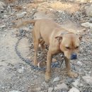 이암농장 이미지