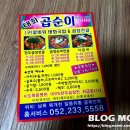 태화곱순이 네이버블로그