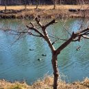 (주)미각 | 담양 이색디저트카페 "미각&amp;담양양갱" 과일양갱 댓잎라떼 담양여행 후기