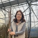 농업회사 감농원 네이버블로그