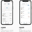 비피번지필라
