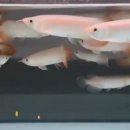 GS25충주중앙대로점 이미지