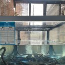 어성장어센타 이미지