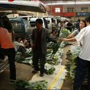 [중국] 꽃시장, 더우난 화훼시장 이미지