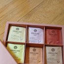 제주다차공간 | 제주 오설록 차 후기