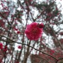 산 절로 자연 그대로
