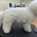 아우어패밀리 이미지