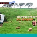 삼광자원 이미지