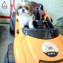 파주힐링몽 이미지