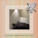 메르씨에스테틱