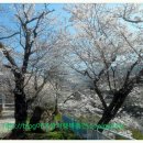 토지초등학교연곡분교장 이미지