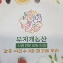 무지개청과 - 용인시 처인구 동부로 513 | 무지개청과