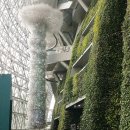 원세계조경 이미지