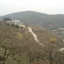 우포늪단감펜션 이미지