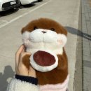 구읍뱃터미니오락실 이미지