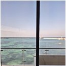 바당쿰다 이미지